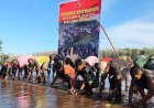 Bersatu Dengan Alam, Satgas TMMD Kodim 1710/Mimika Tanam Ribuan Bibit Mangrove